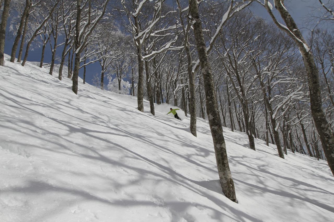 Hotel Powder Temple Hakuba Exteriér fotografie