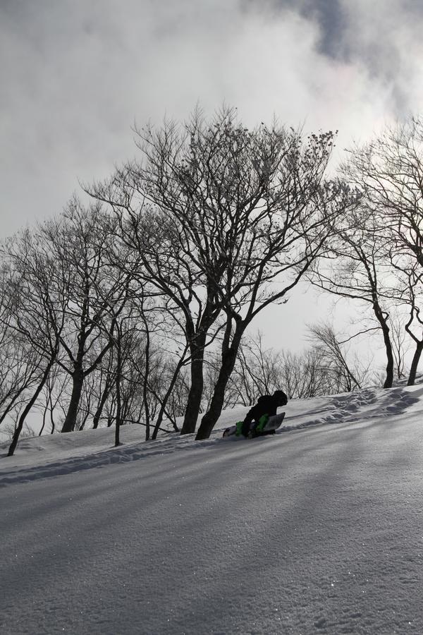 Hotel Powder Temple Hakuba Exteriér fotografie